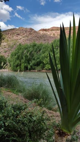 Lodge �gata Caba�as