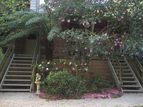 Aldgate Lodge Bed & Breakfast