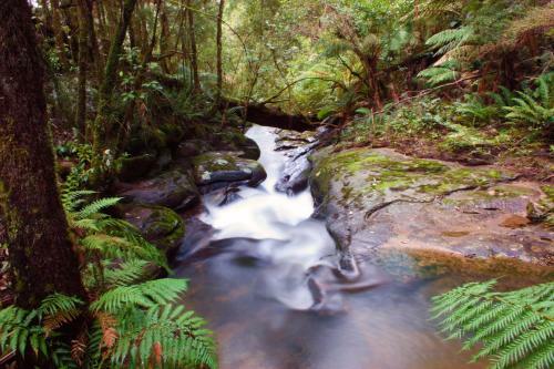 Burrum River Retreat