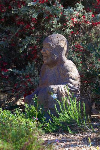 Holistic Haven
