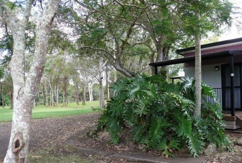 Lismore Lake Holiday Park