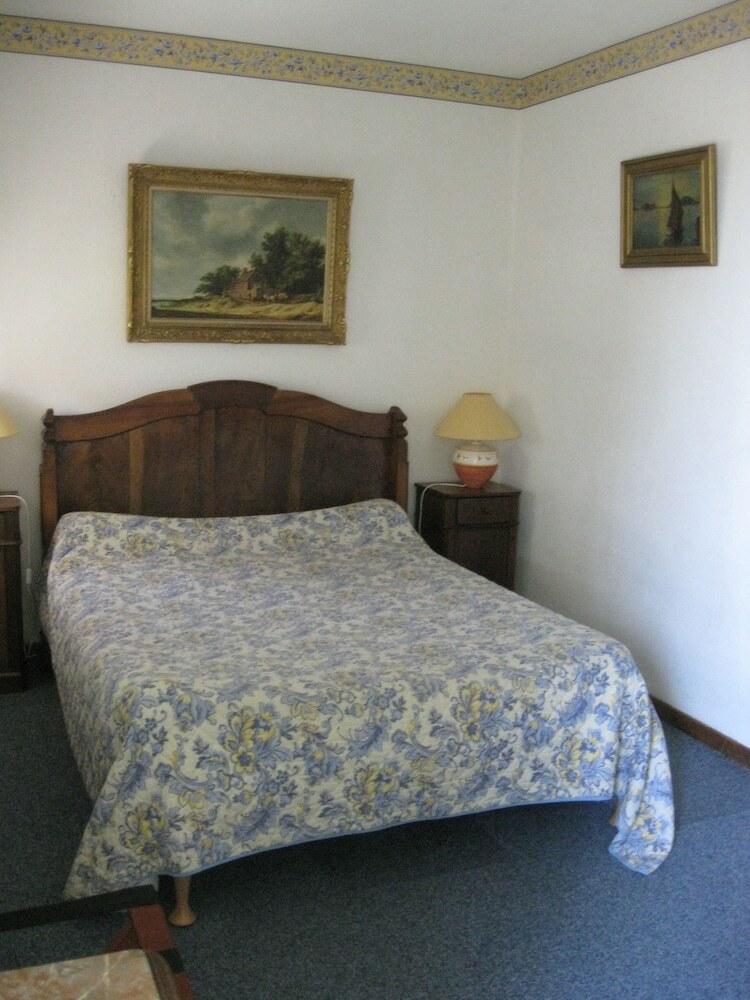 Hotel Le Vieil Amandier