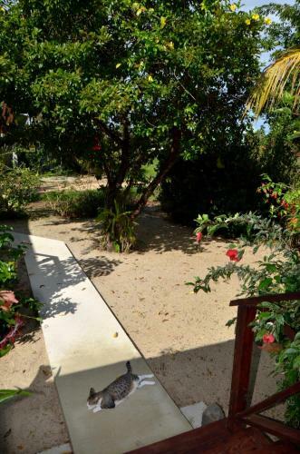 Sand Garden Rooms