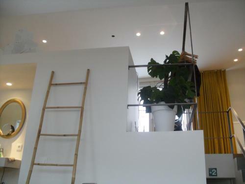 Hostal Loftsuite