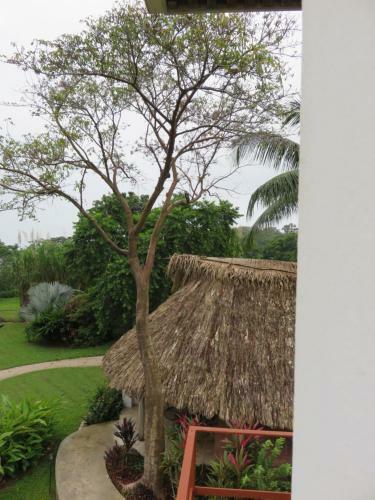 Bed & Breakfast Coral House
