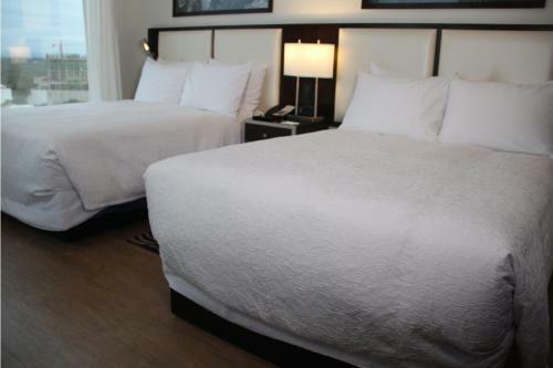 Hotel Hampton By Hilton Santa Cruz