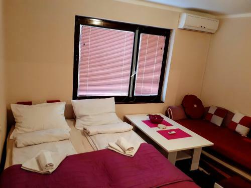 Apartment Iva