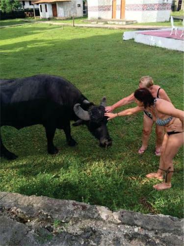 Agroturismo Pousada Marajoara