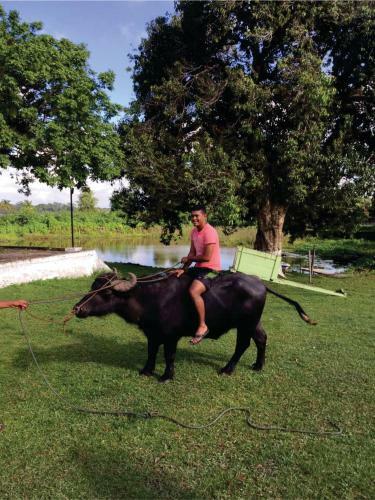 Agroturismo Pousada Marajoara