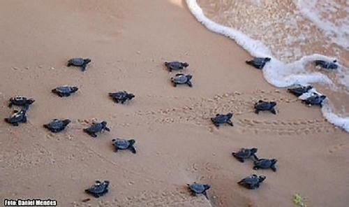 P� Na Areia