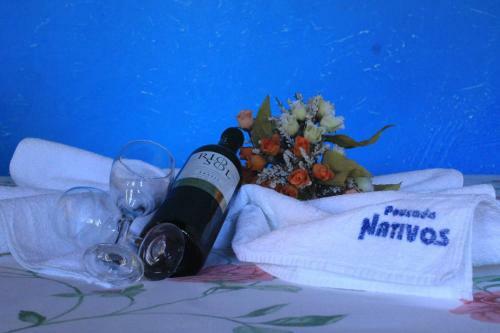 Hostal Pousada Nativos