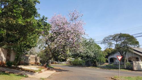 Guest House Yolanda