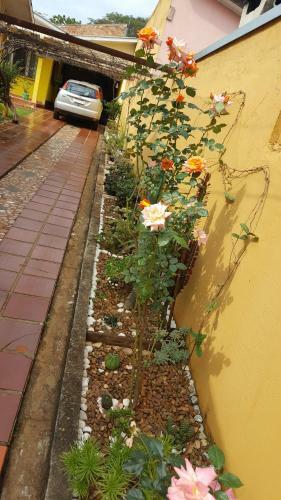 Guest House Yolanda