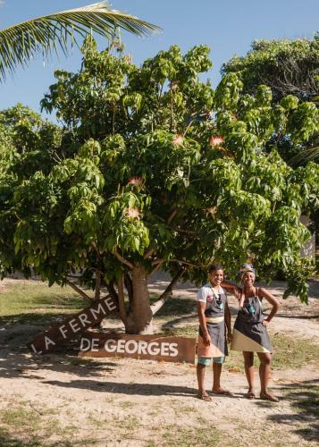 La Ferme De Georges