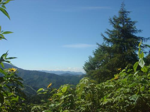 Org�nica-mente B&B