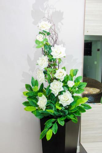 Hostal �ncoradouro Hotel Pousada