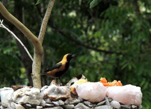 Bed & Breakfast Canto Verde