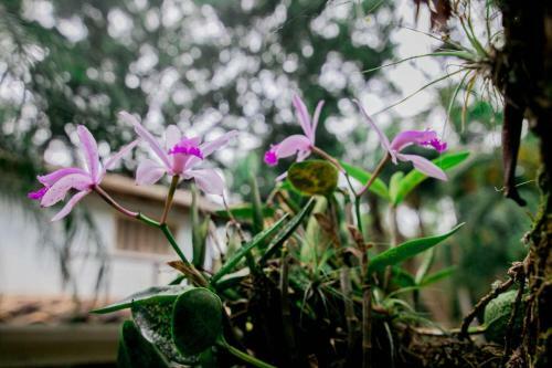 Bed & Breakfast Na Mata