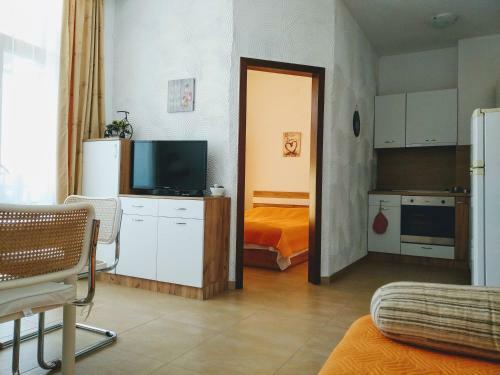 Apartments Elinor Budzhaka