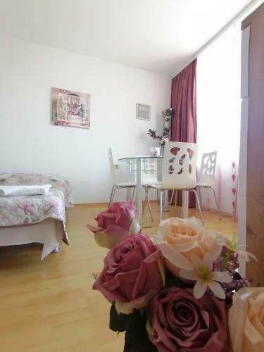 Apartments Elinor Budzhaka