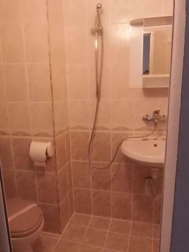 Hostal Zlatna Kotva - Andi