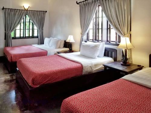 Bed & Breakfast Uncle Sam Villa