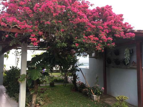 Casa Flor