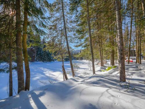 Apartamentos Condo Tremblant Versant Nord / Bord De L 'eau
