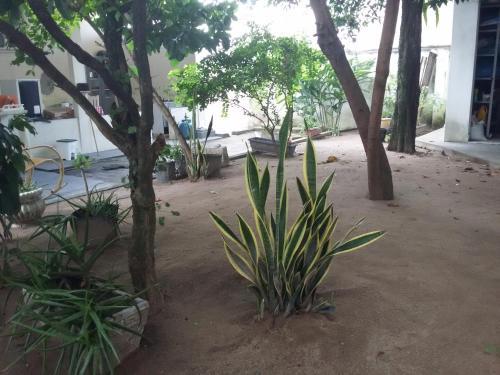 Hostal Quarto Pra�a Laranjeiras