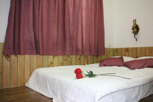 Hostal Gulangyu Purple Blue Bird Hotel