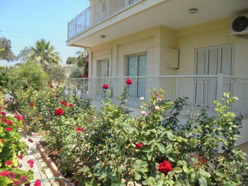 Niki Court Holiday Apartments