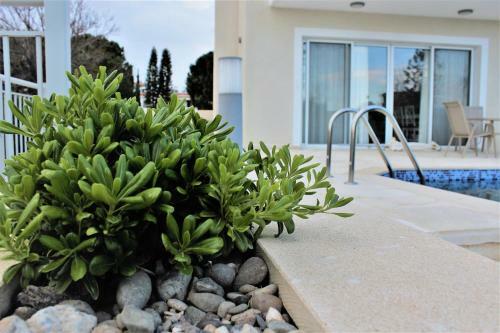 Coral Blue Bay Villa
