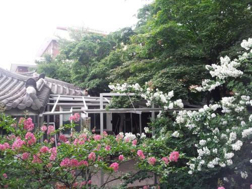 Hostal Jiwoljang Guesthouse