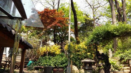 Hostal Jiwoljang Guesthouse