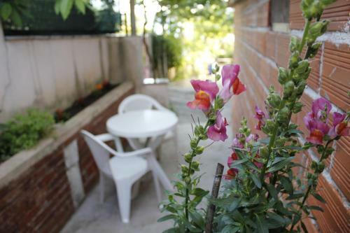 Apartments Lucija