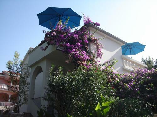Apartments Pulek
