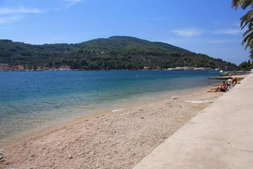 Apartment Vela Luka 11455a