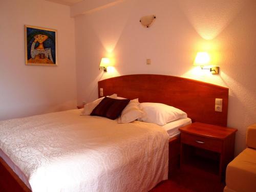 Hotel Villa Barbat