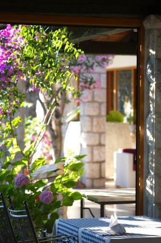 Hotel Villa Barbat
