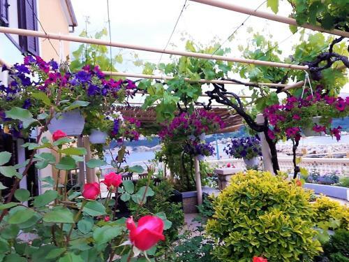 Hostal Guest House Villa Baska