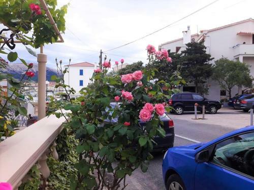 Hostal Guest House Villa Baska