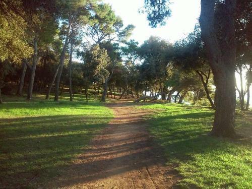Apartman Zelena Oaza Sisan
