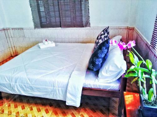Homestay Watchork