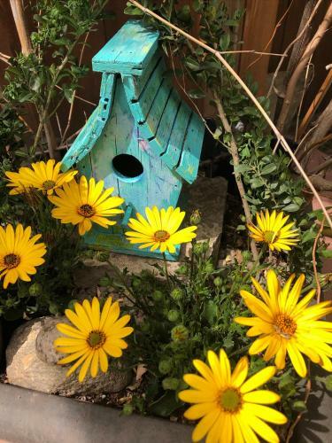 Mistiso's Place Vacation Rentals
