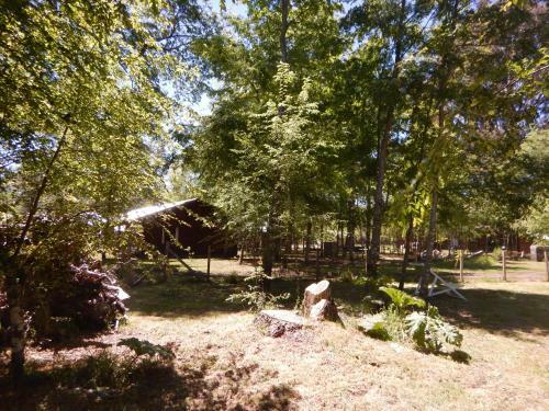 Entre Hualles Y Pellines