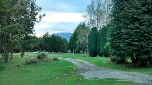 Bosque Patagonico