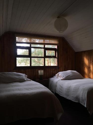 Bosque Patagonico