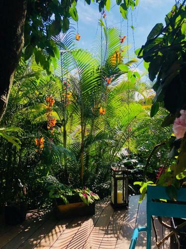 Bed & Breakfast Patio Del Mundo