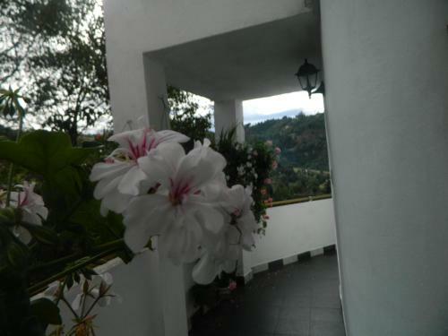Hotel Terrazas Hospedaje