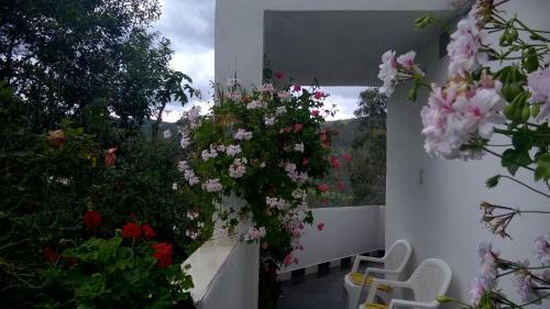 Hotel Terrazas Hospedaje